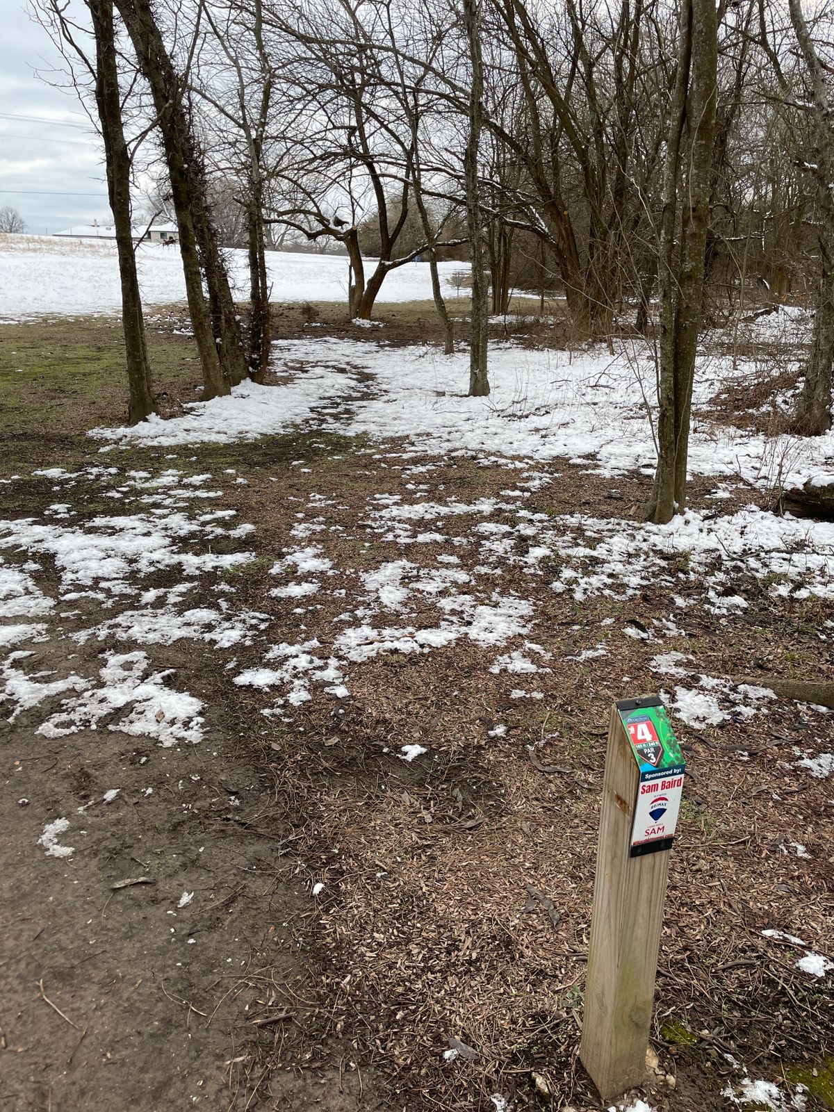 They have trimmed a lot of limbs, especially on this hole.