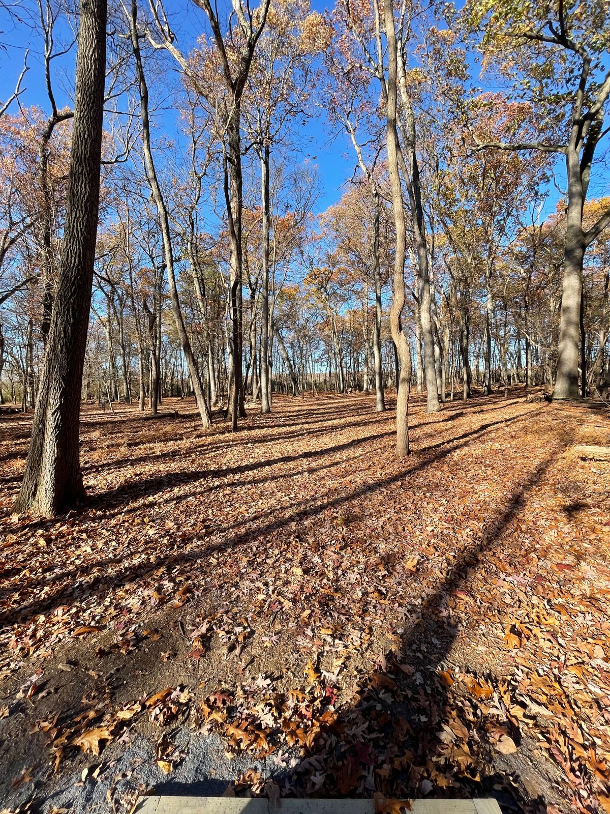 Mercer County West Hole 7