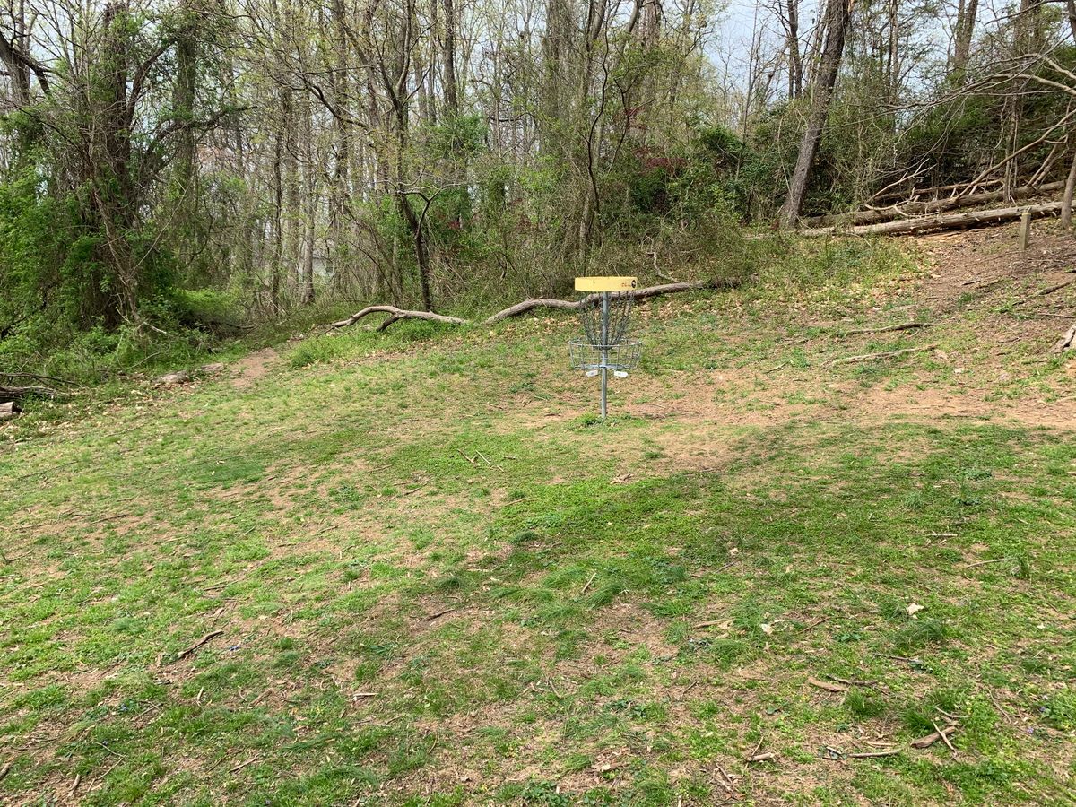 Hole 5/14 basket