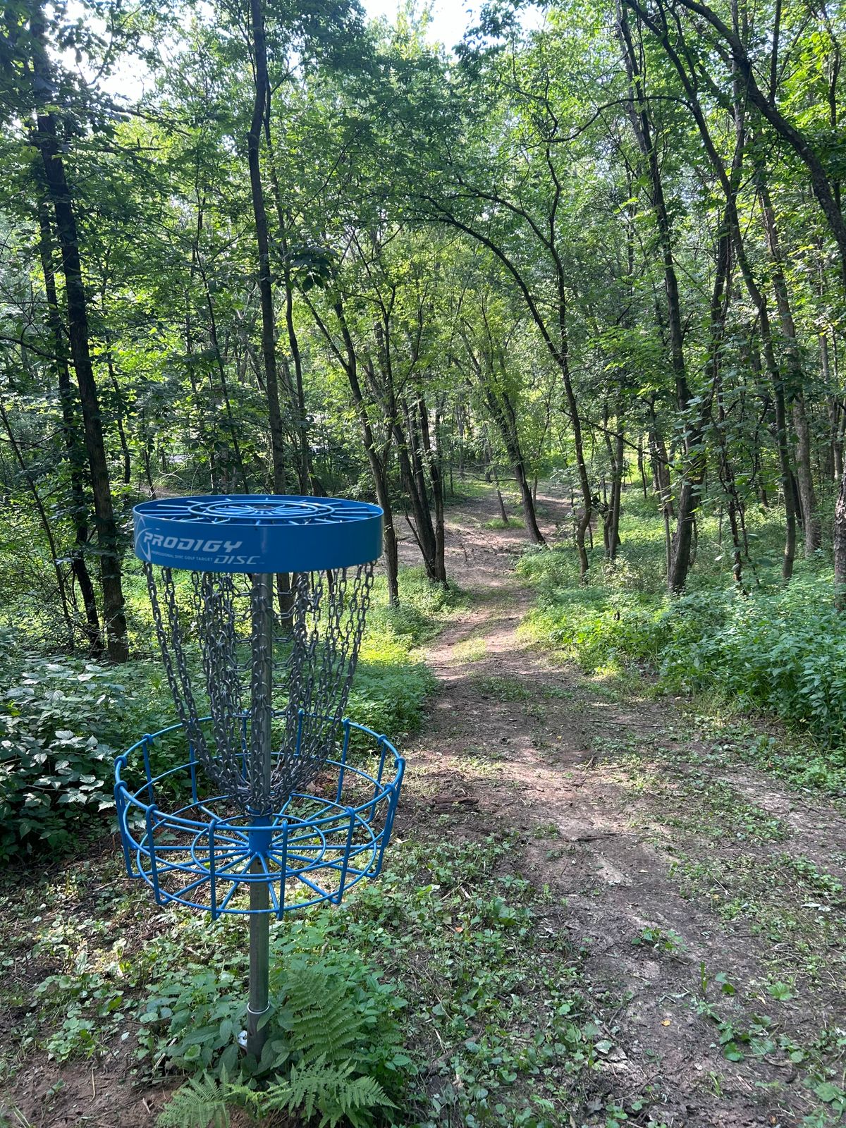 Hole 5 basket