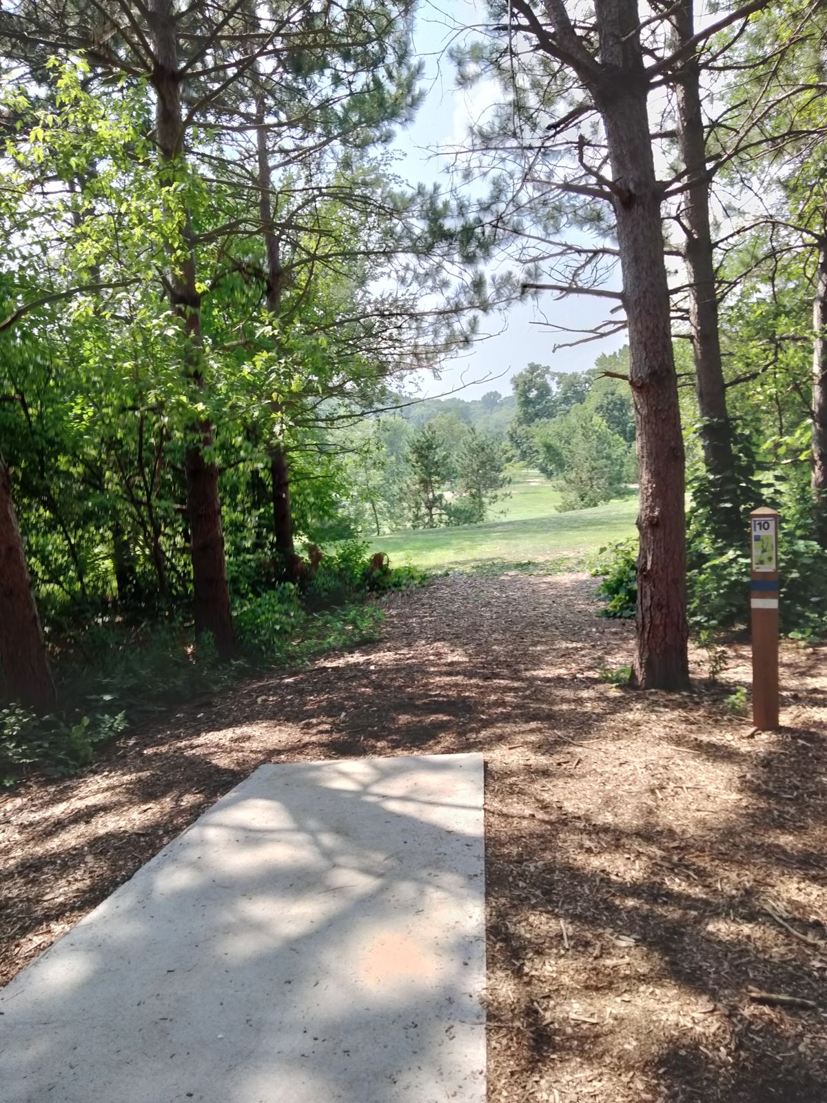 Hole 10 blue/white tee