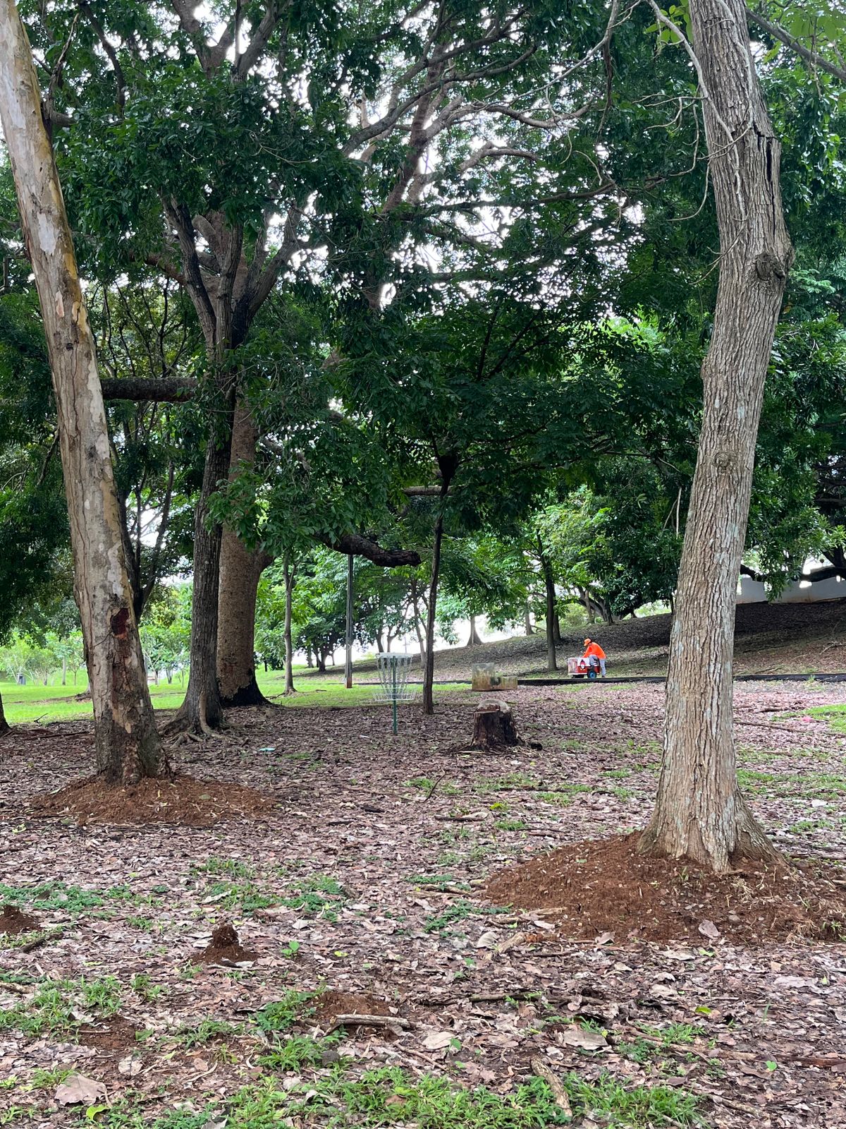 Hole 3 basket