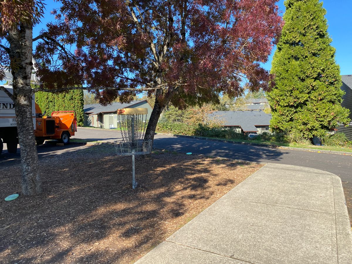 Parking lot island hole.