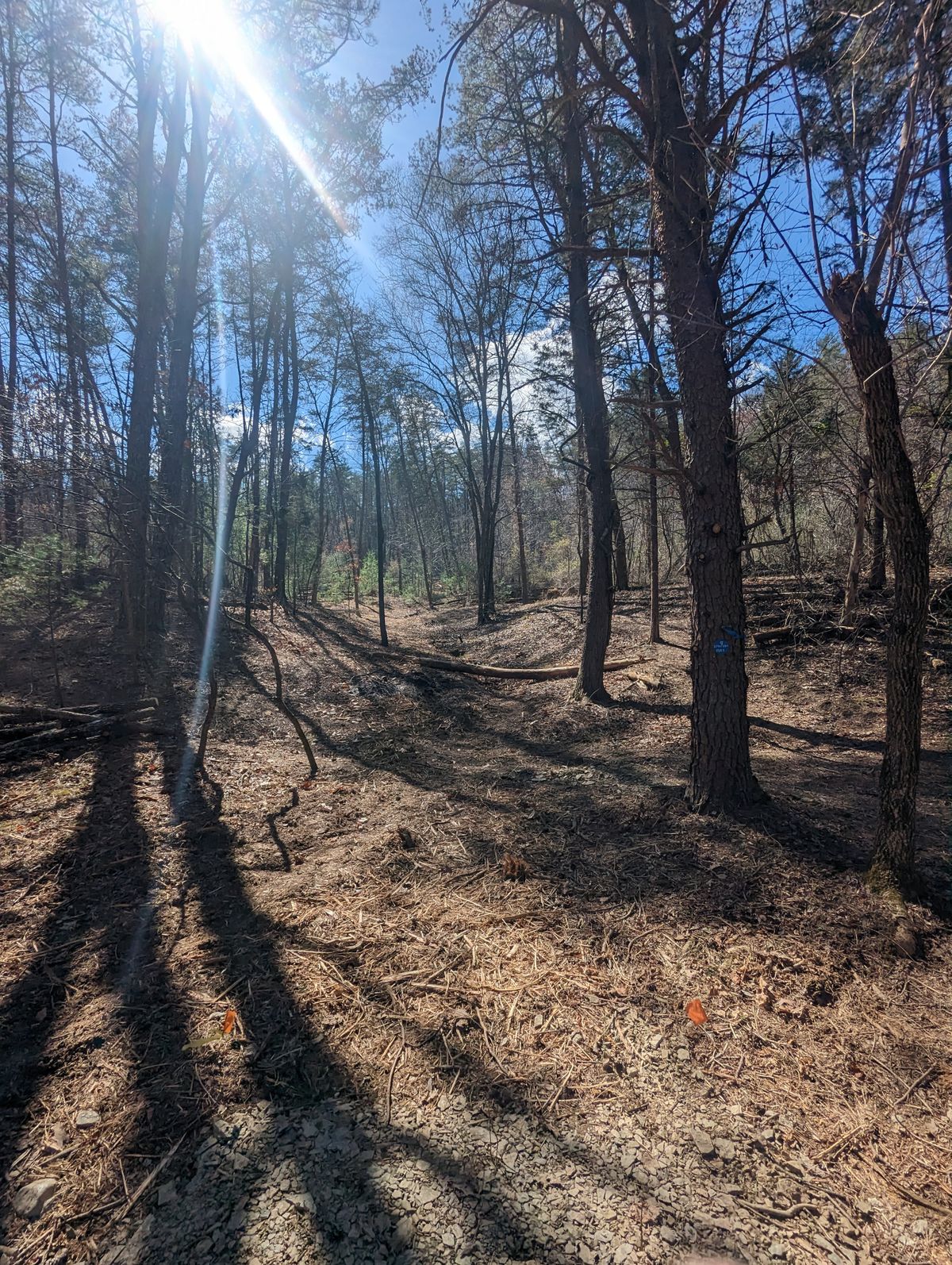 Hole #9