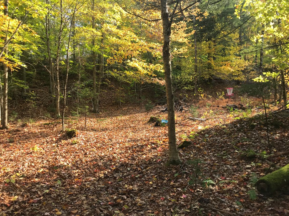 Hole 14’s green