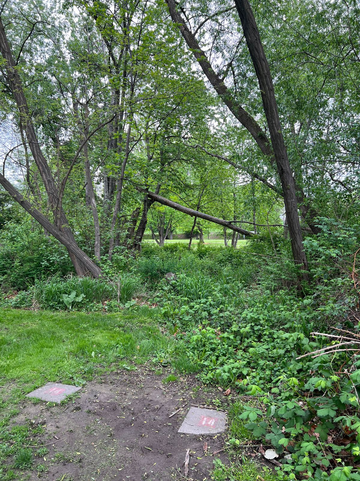 Hole 14 tee is across the creek with a cool gap shot coming back