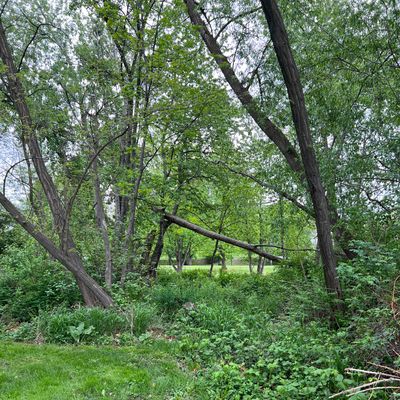 Hole 14 tee is across the creek with a cool gap shot coming back