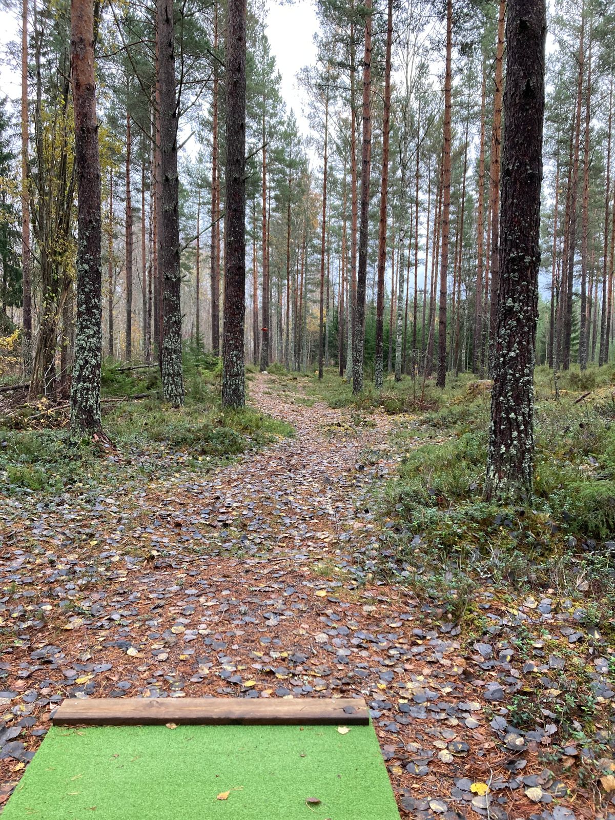 Fairway i höstskrud