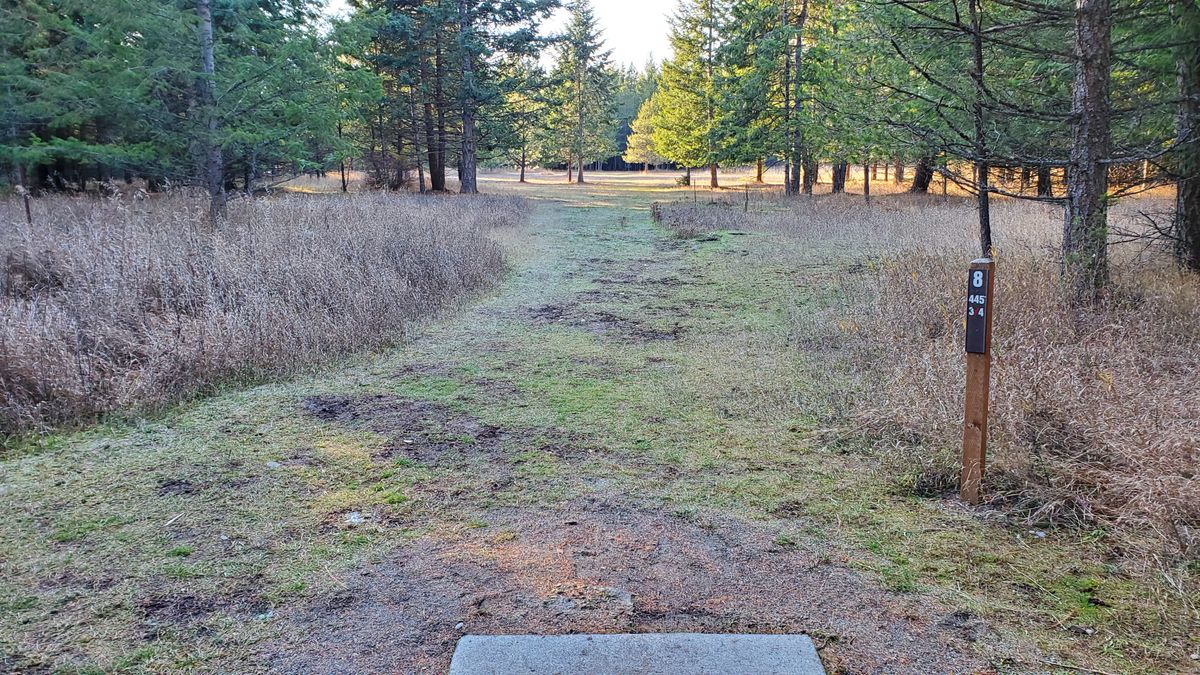 Tee pad hole 8