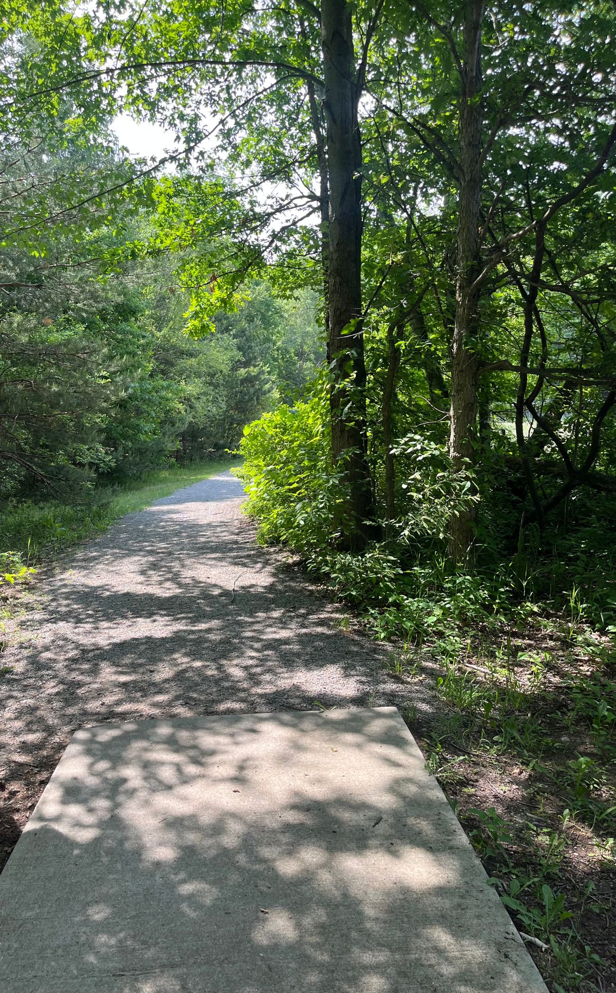 Hole 2