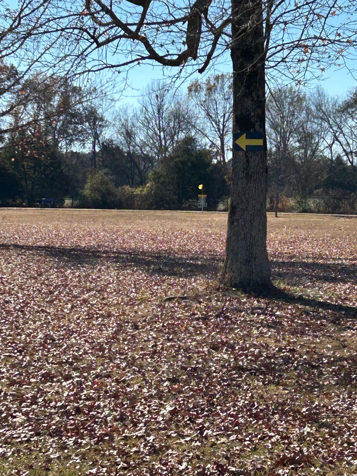 Hole 15 basket