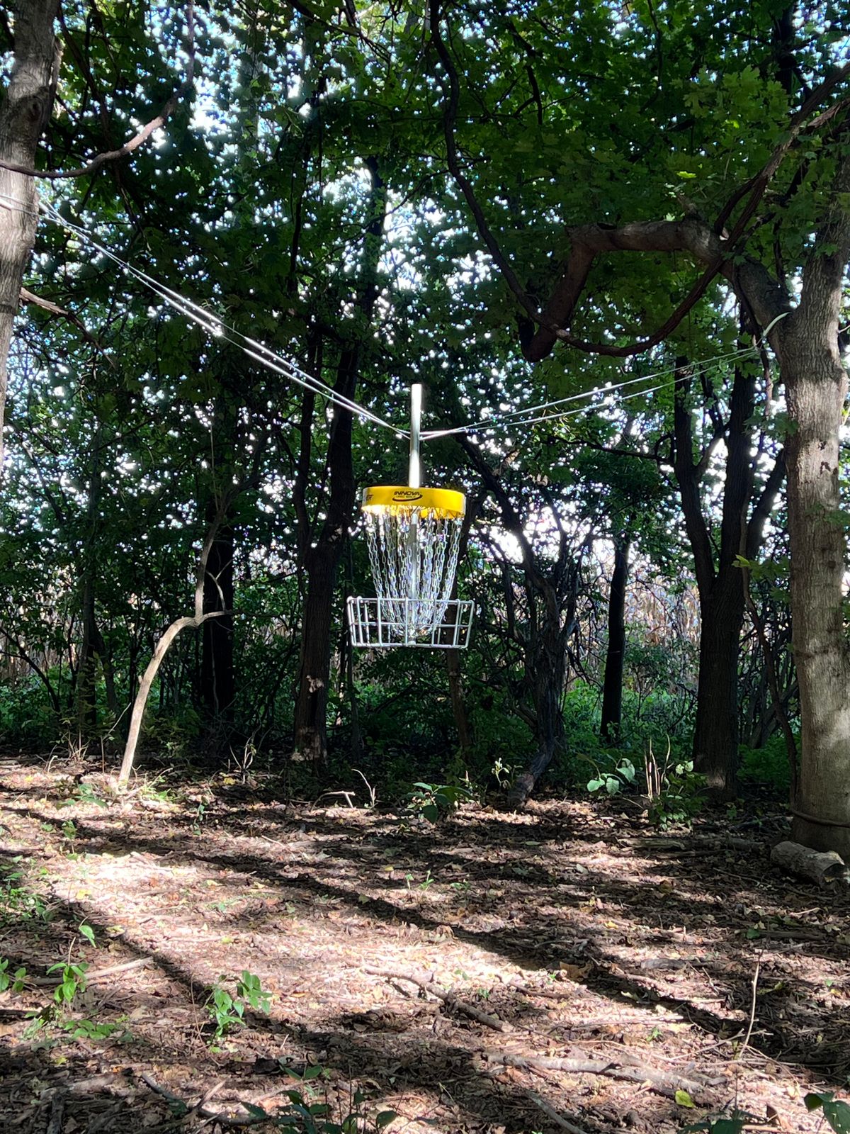 New Gold layout Hole 6 hanging basket