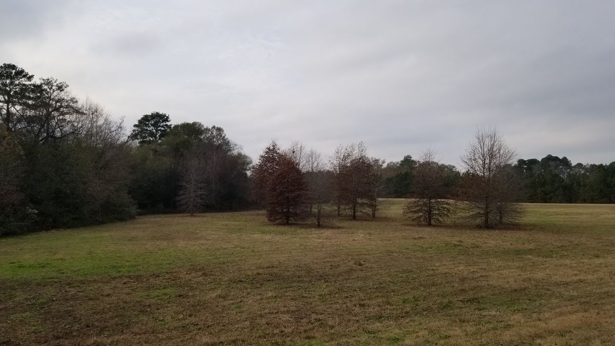 View from #12 Teebox