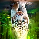 tigerkoi1996
