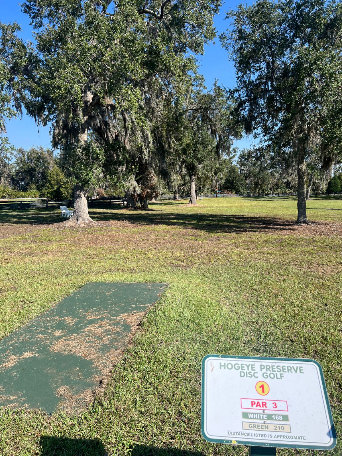 Hole 1 Green Tee