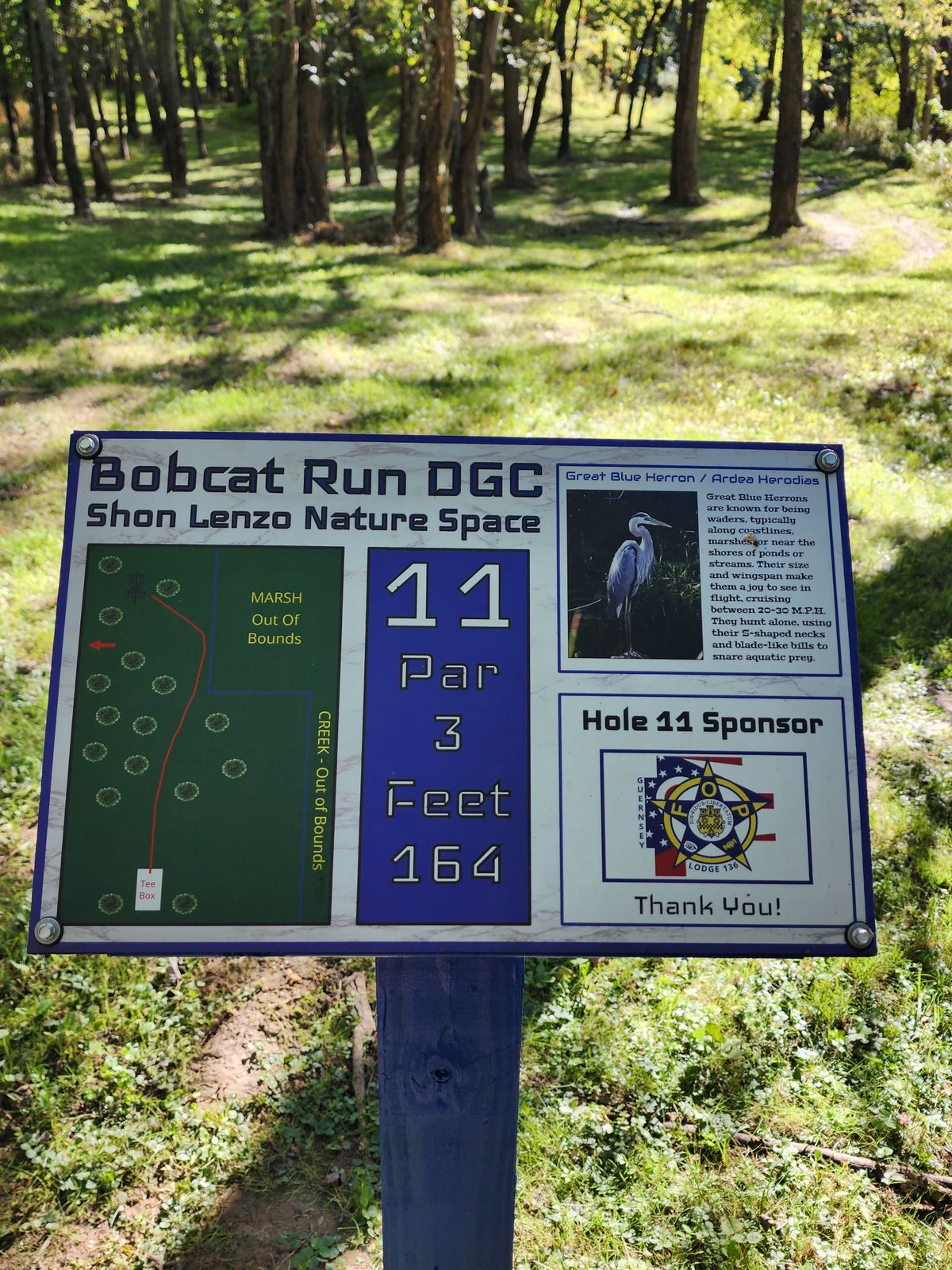 No. 11 tee
