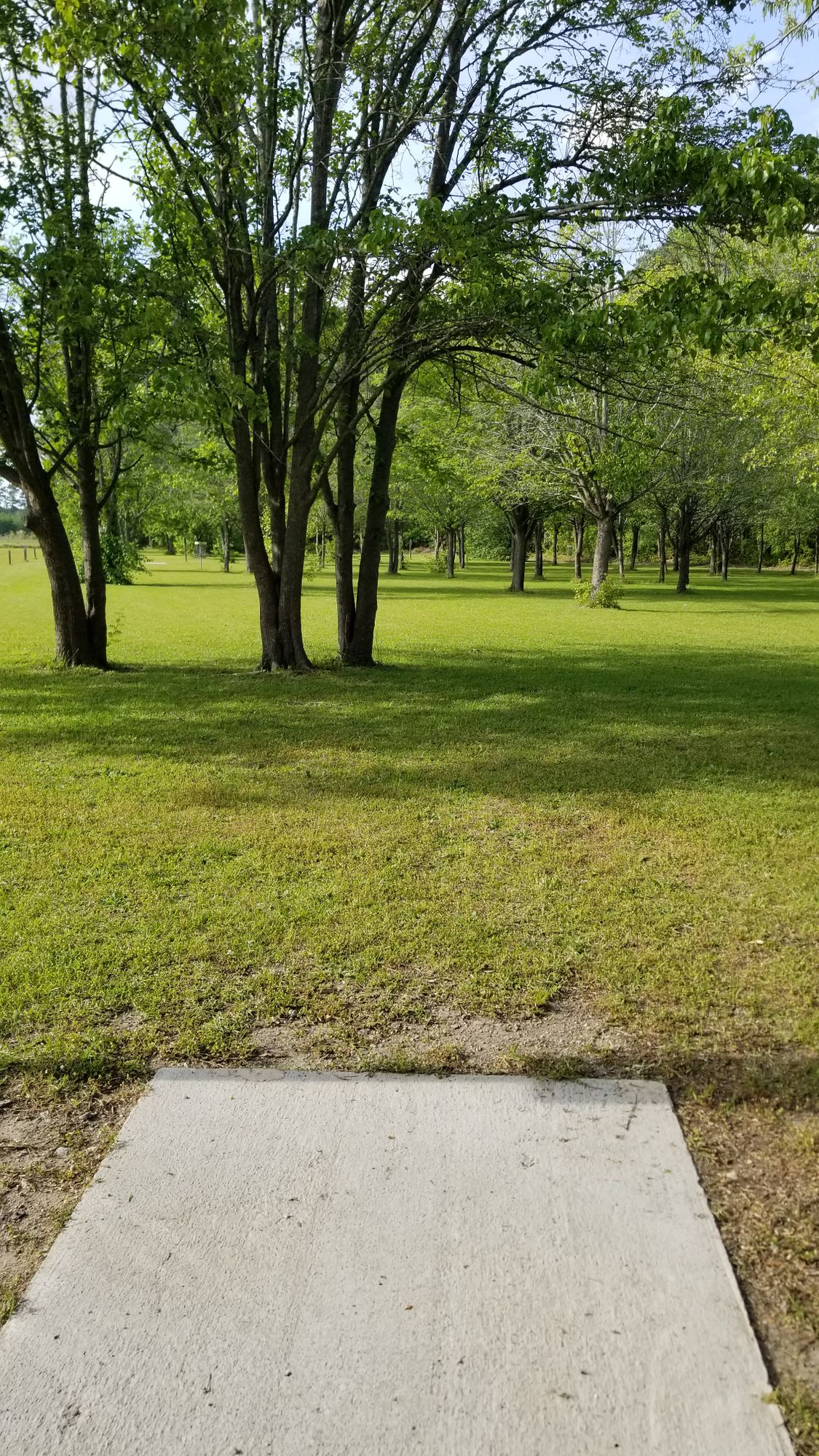 Hole 3