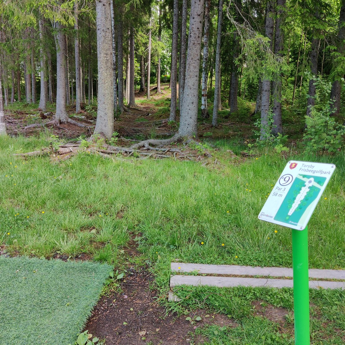 Tee 9