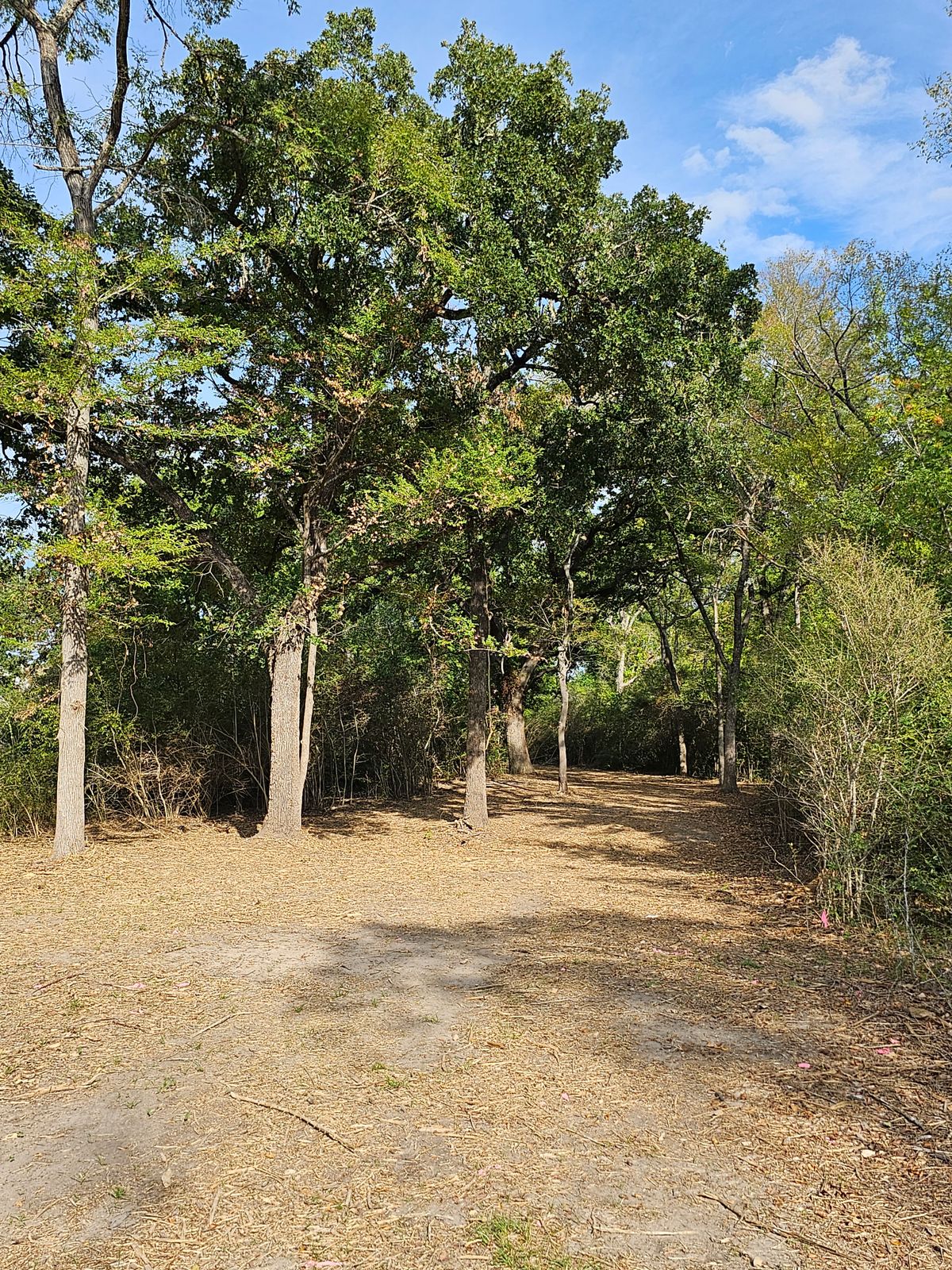 Hole 15 Fairway