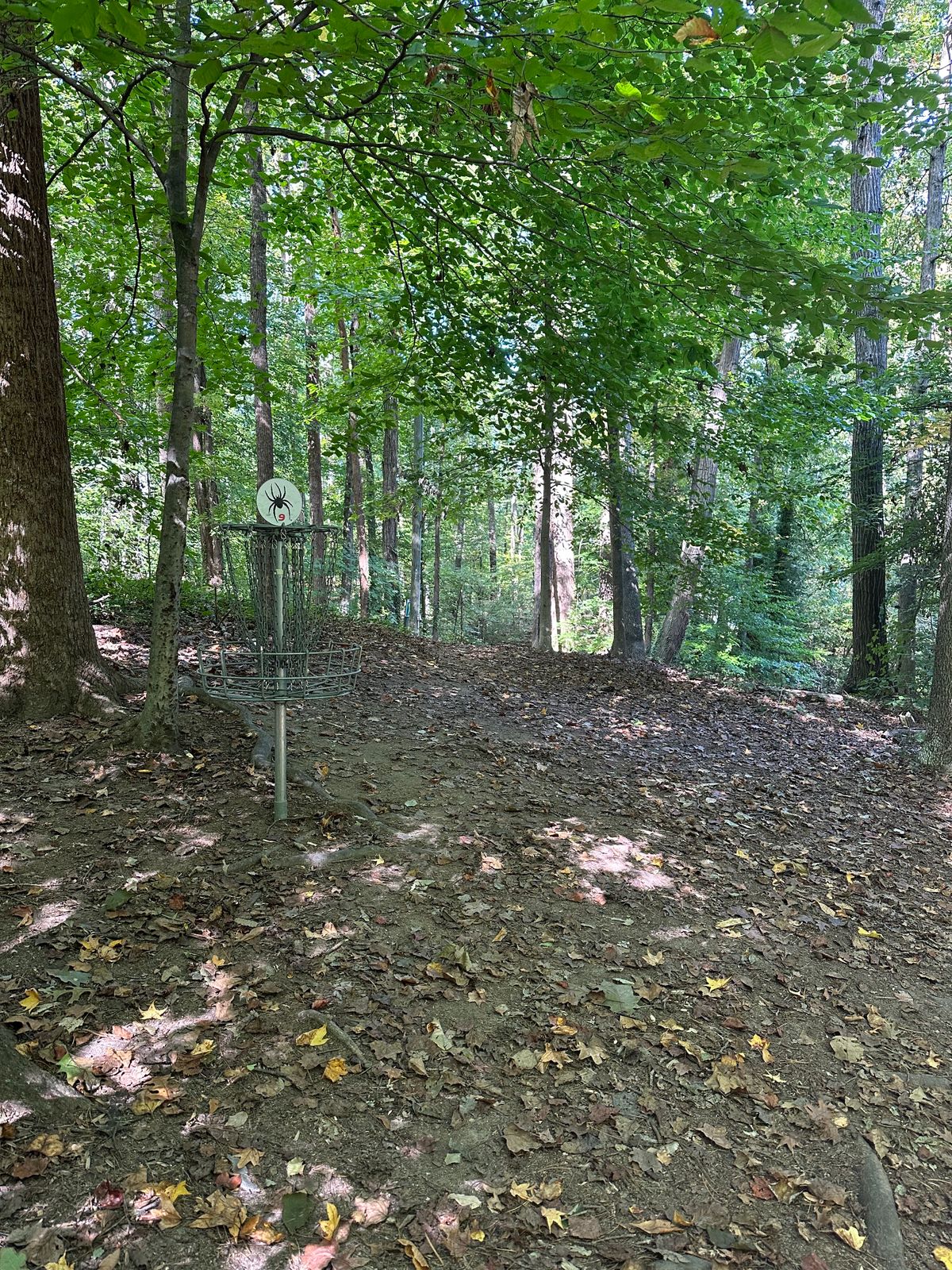 Hole #9 basket