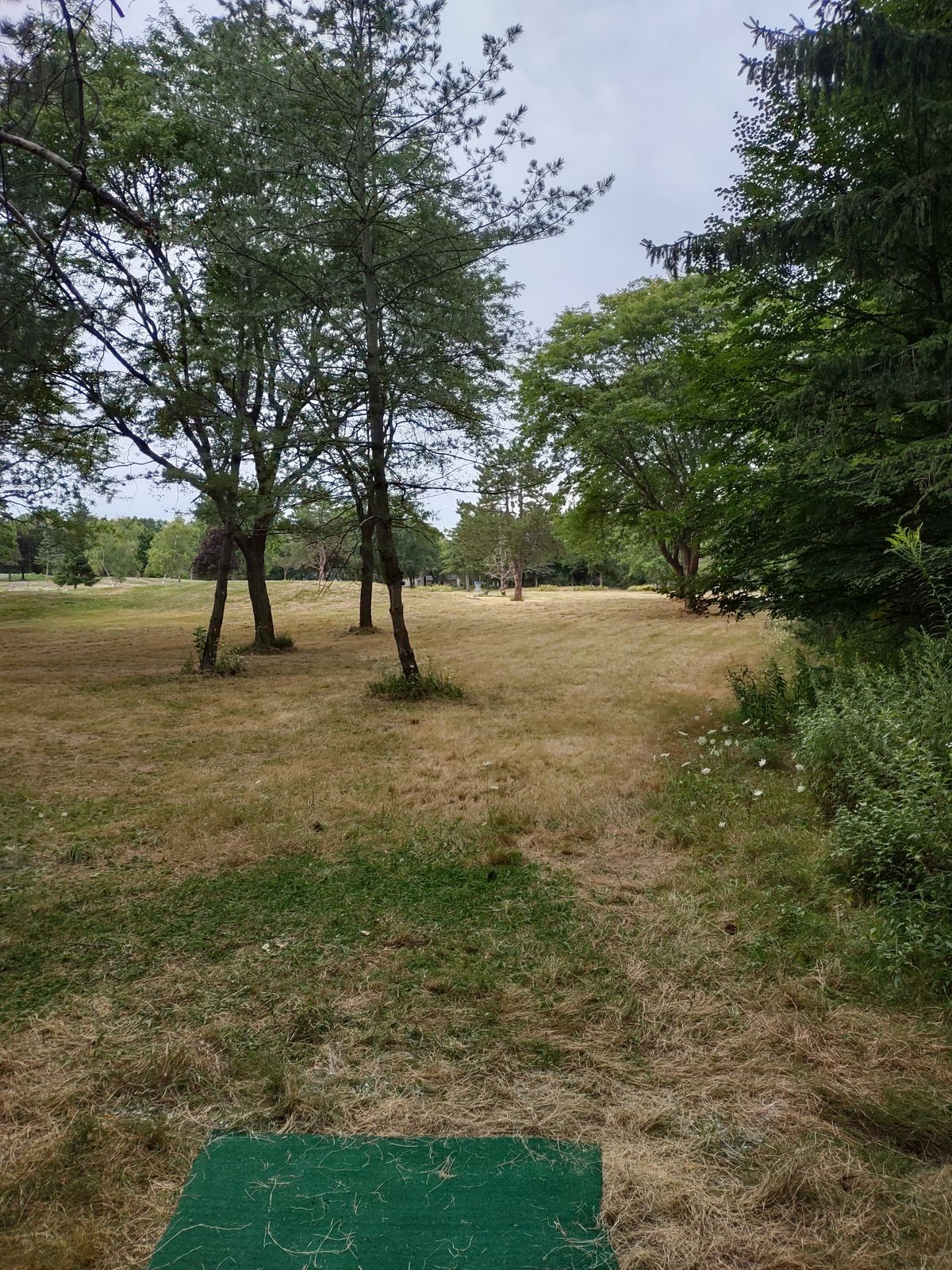 Hole 16 tee