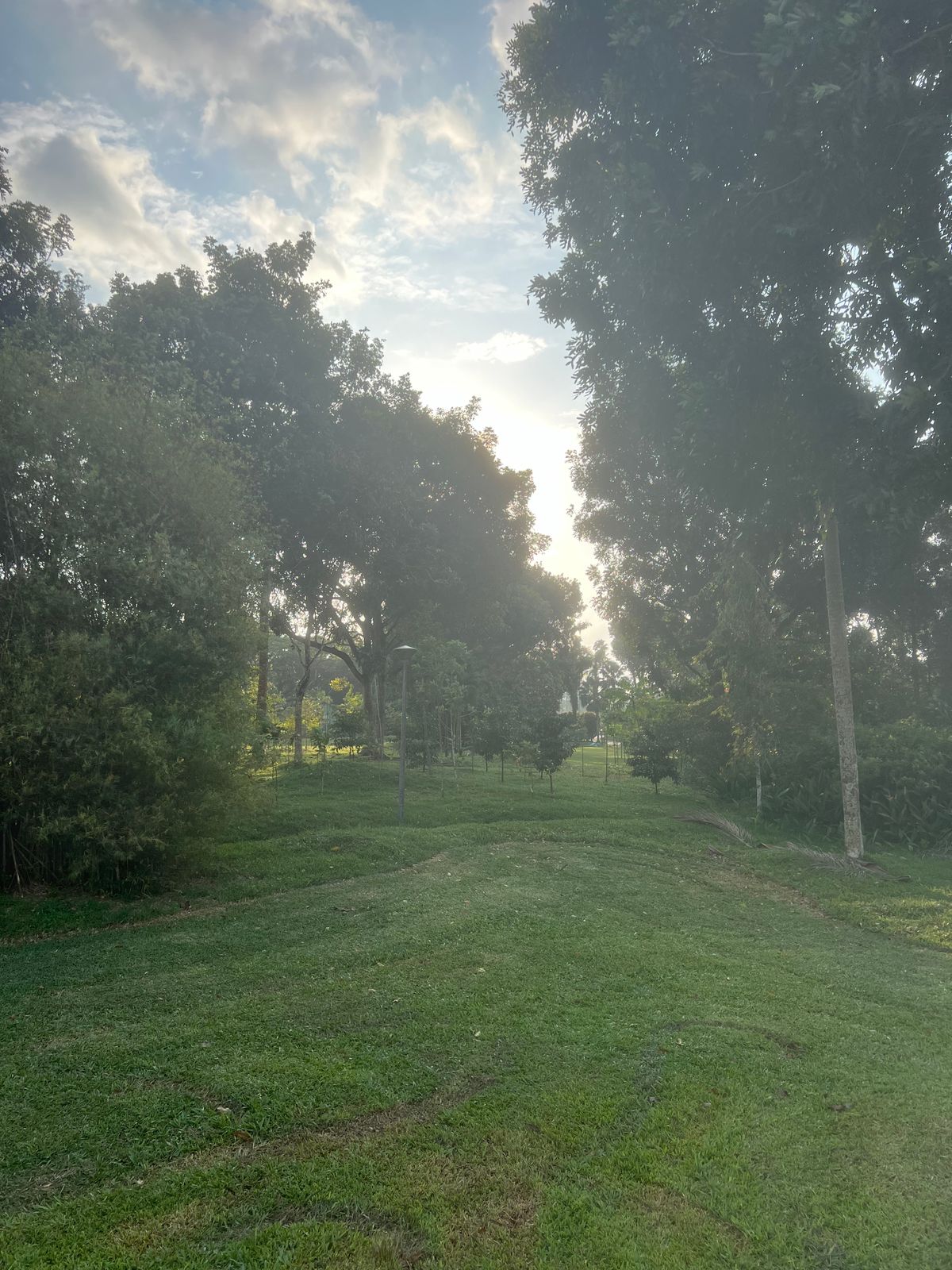Hole 6 landing zone, looking through gap towards green.