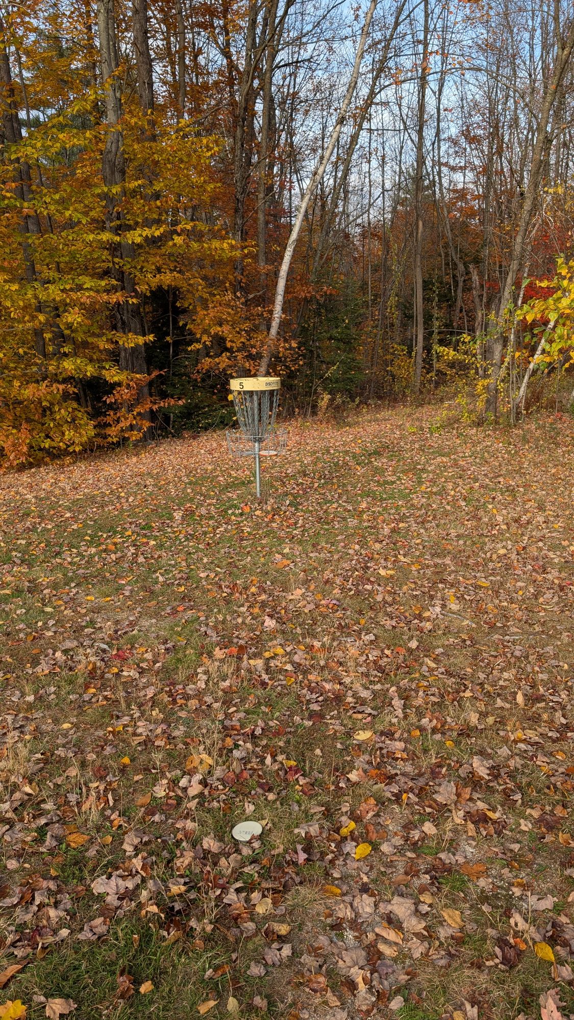 Hole 5, 15' right from target