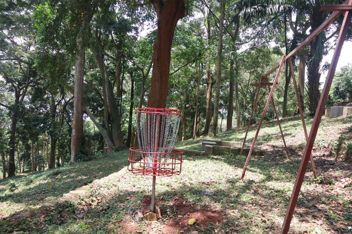 Hole 6 basket