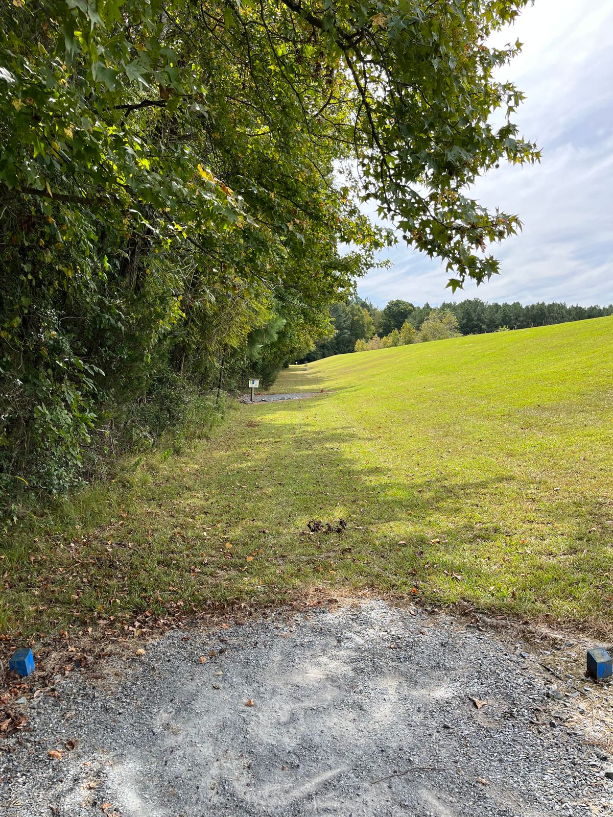 Hole 5: blue tee