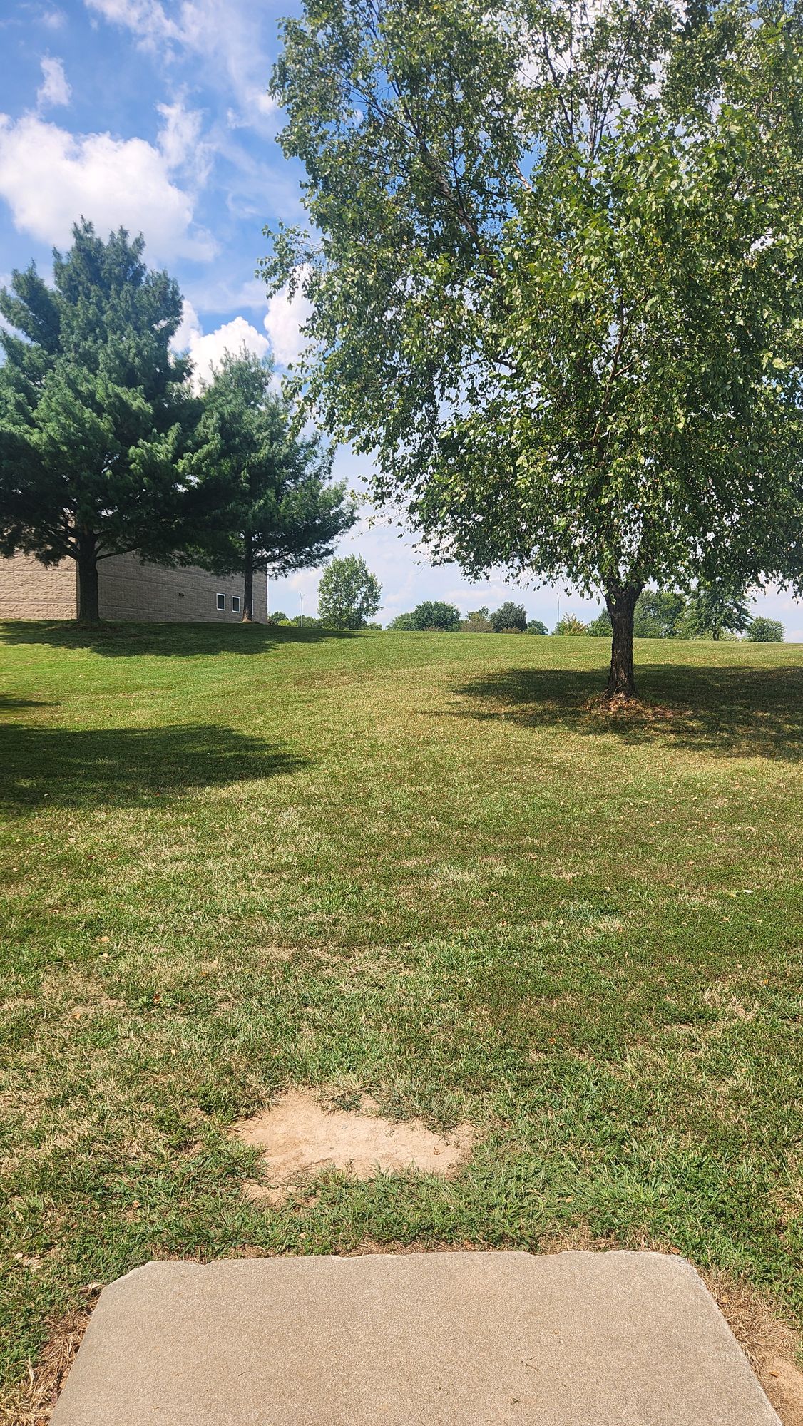 Hole 4 Tee