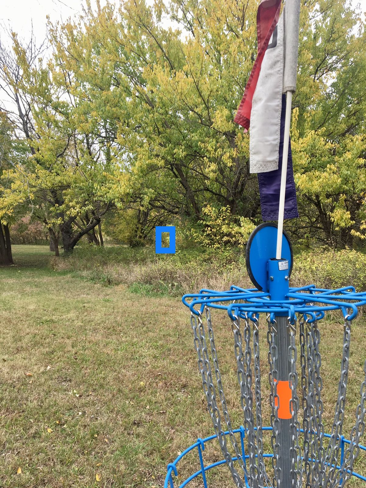 Hole 2 Basket to Tee (Short)