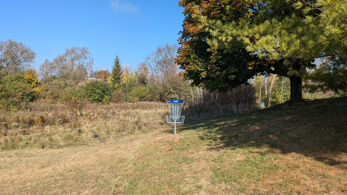 Hole 6 basket - Fall 2024