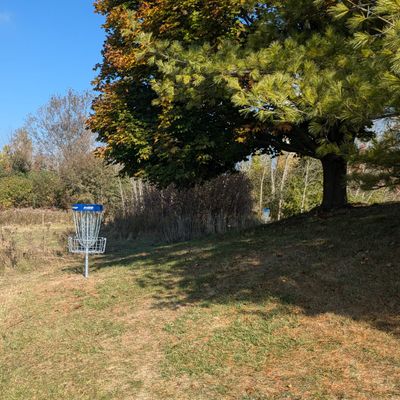 Hole 6 basket - Fall 2024