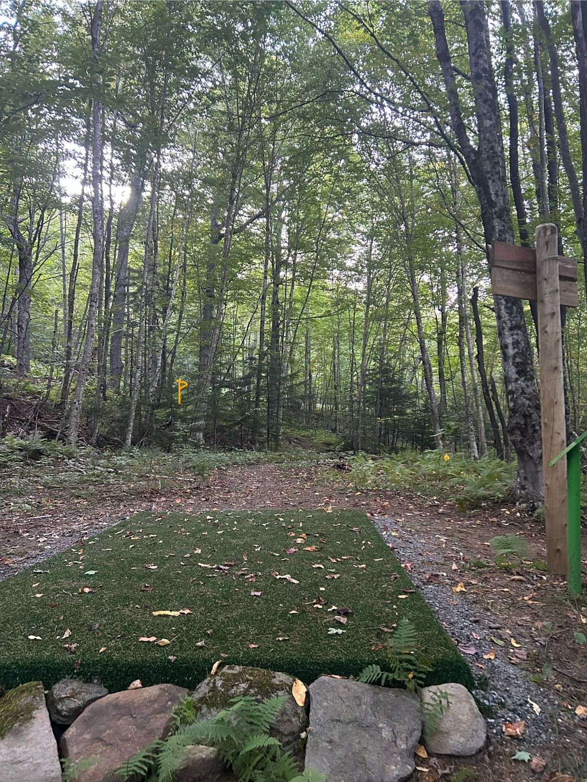 Hole 17 tee