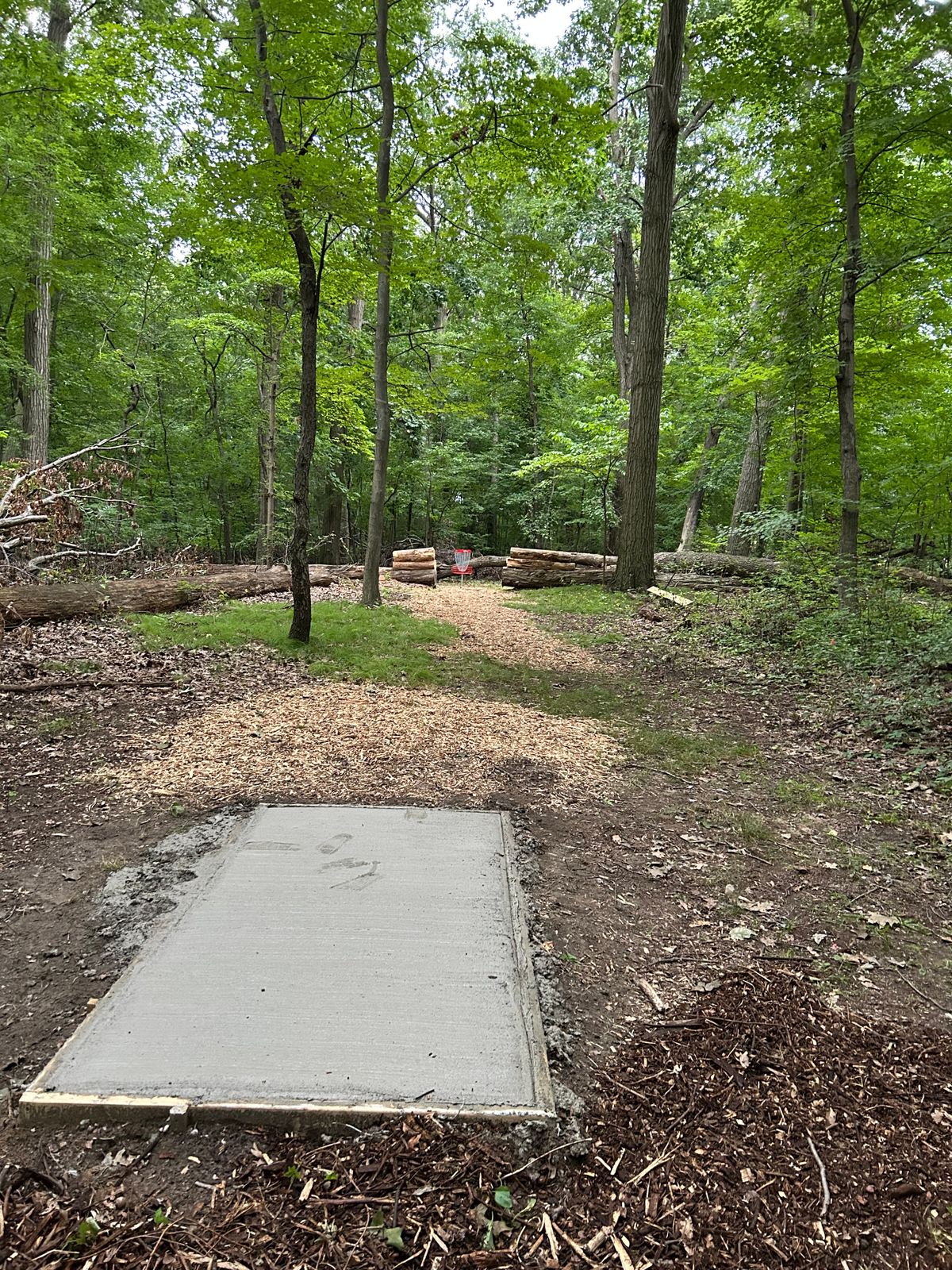 Hole 3 tee pad the gateway hole