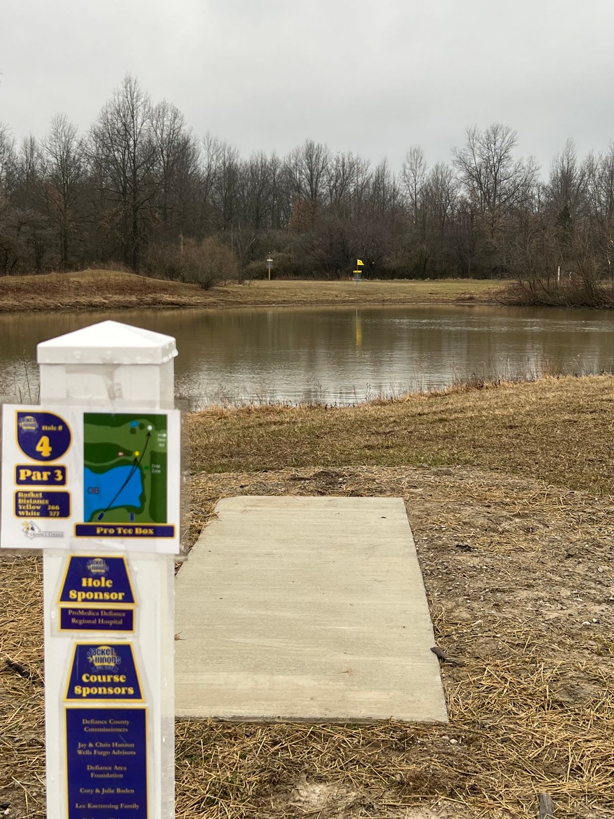 Hole 4 Pro tee box view