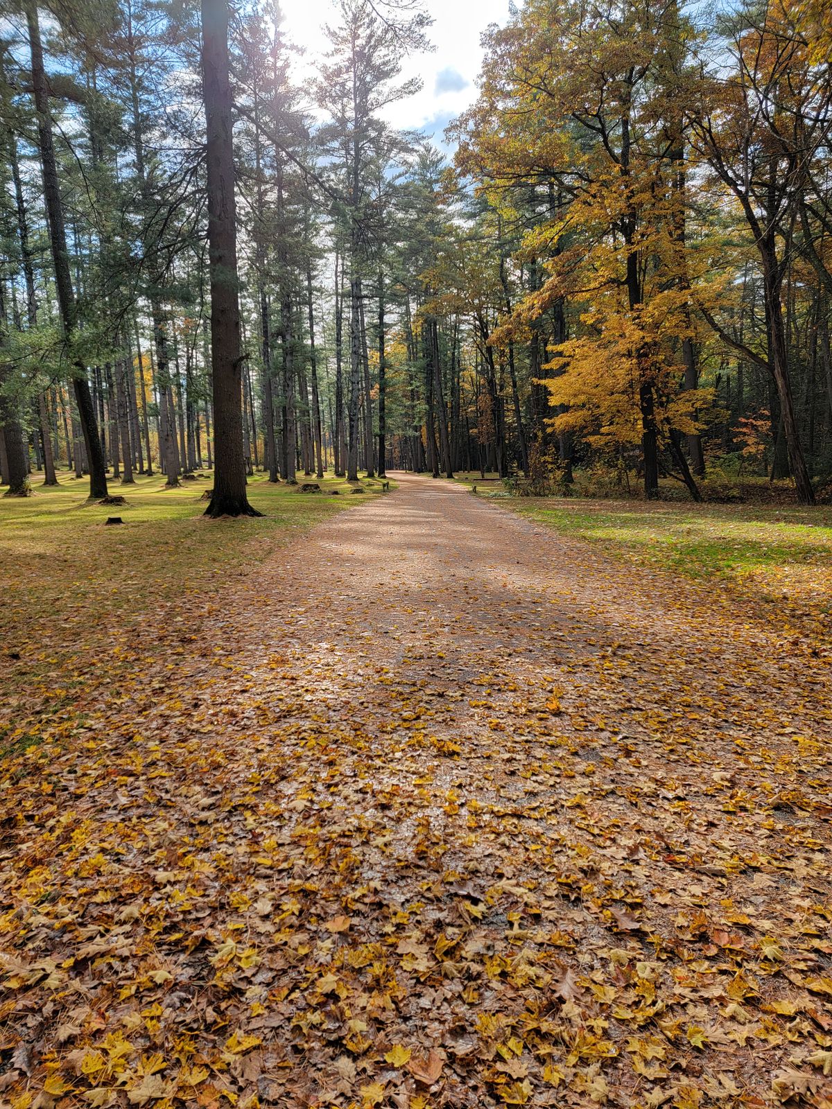 Fall looks good on MPDGC