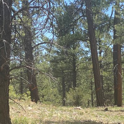 Late double mando on hole 7