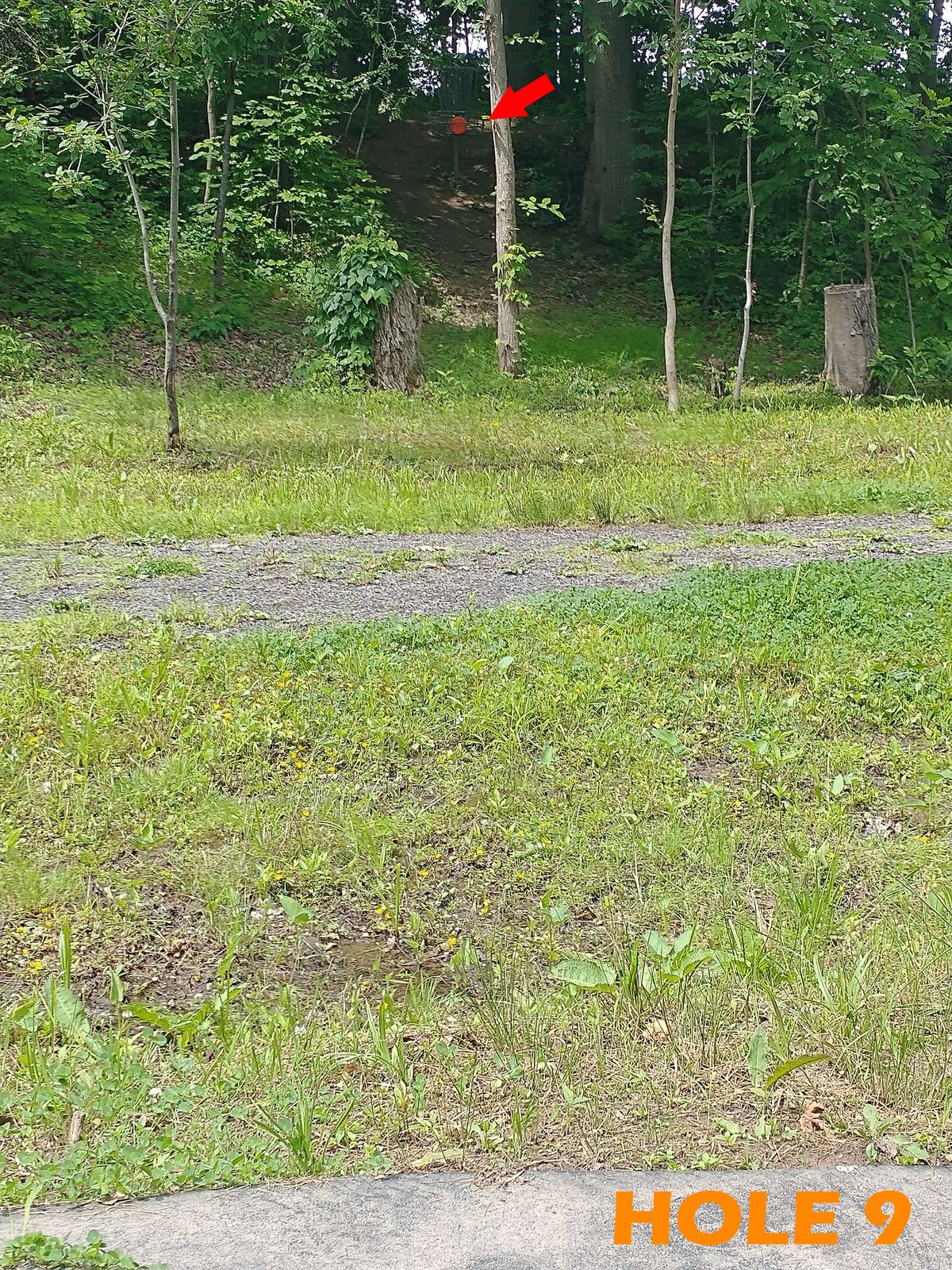 Throwing across walking path and uphill to basket near 1's tee.