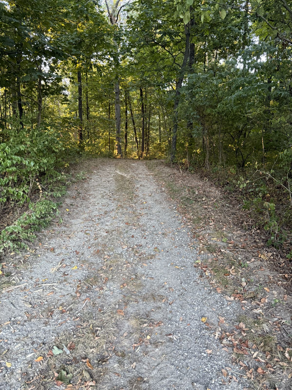 Hole 12 from Red Tee