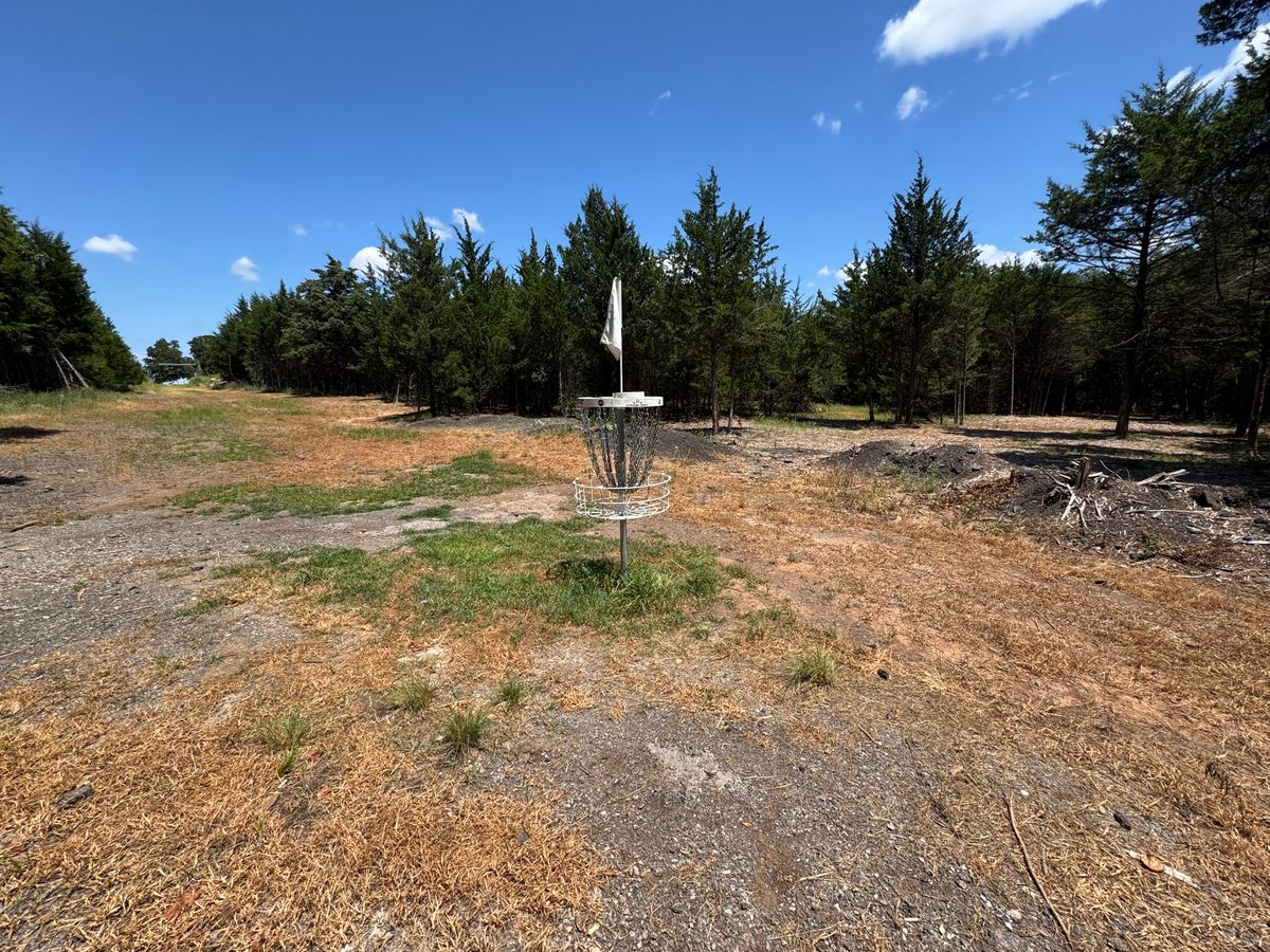 Looking at tee pad and long basket from behind #4 short.