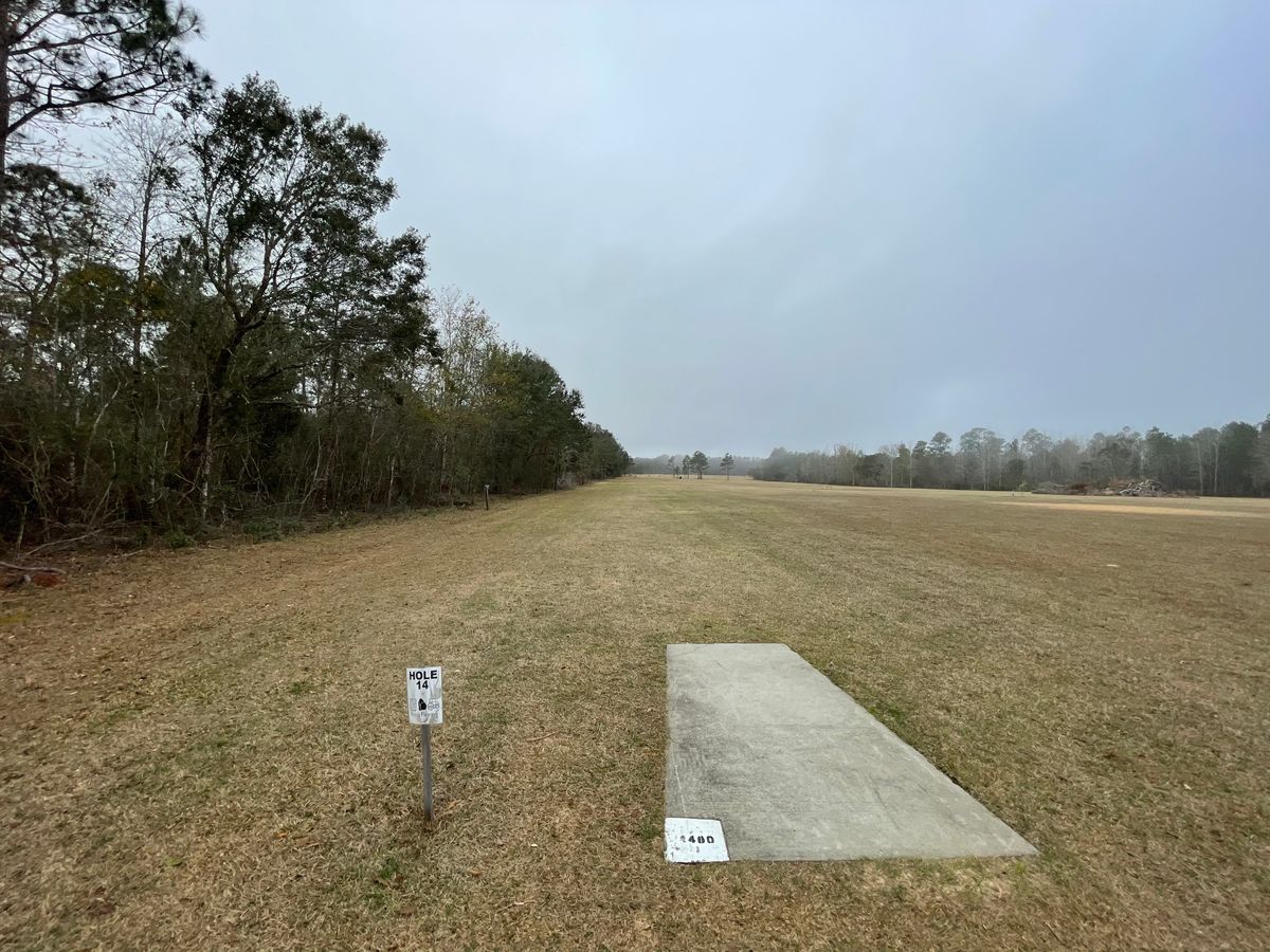 Hole 14