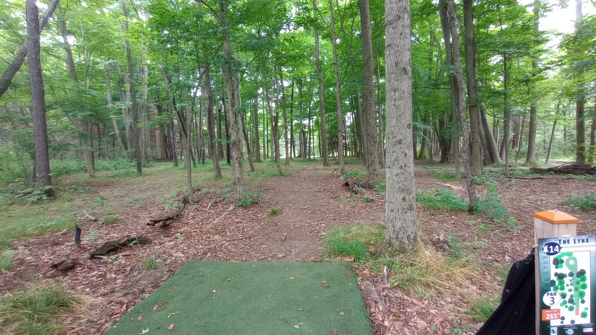 Orange tee pads for hole 14
