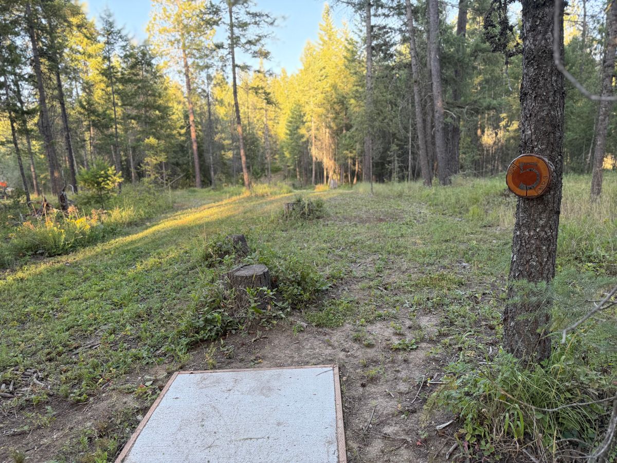 Hole 5