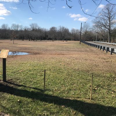 Hole 7