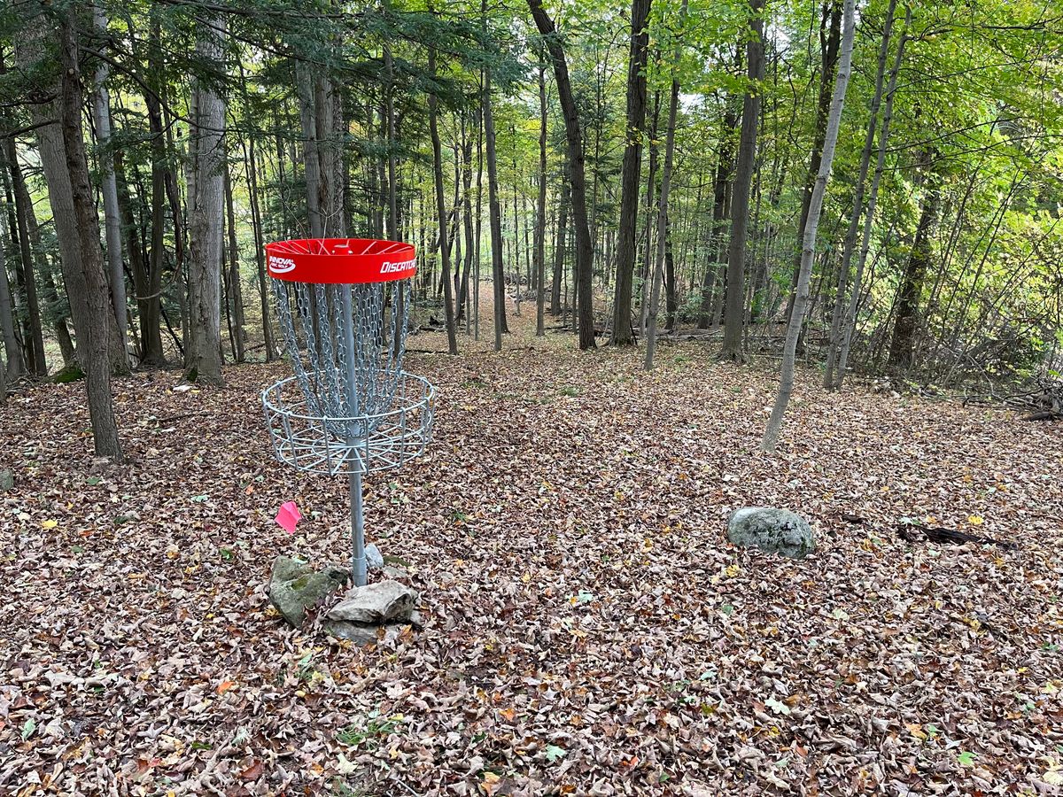 H Basket to Tee