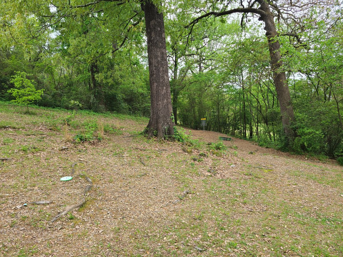 Hole 6