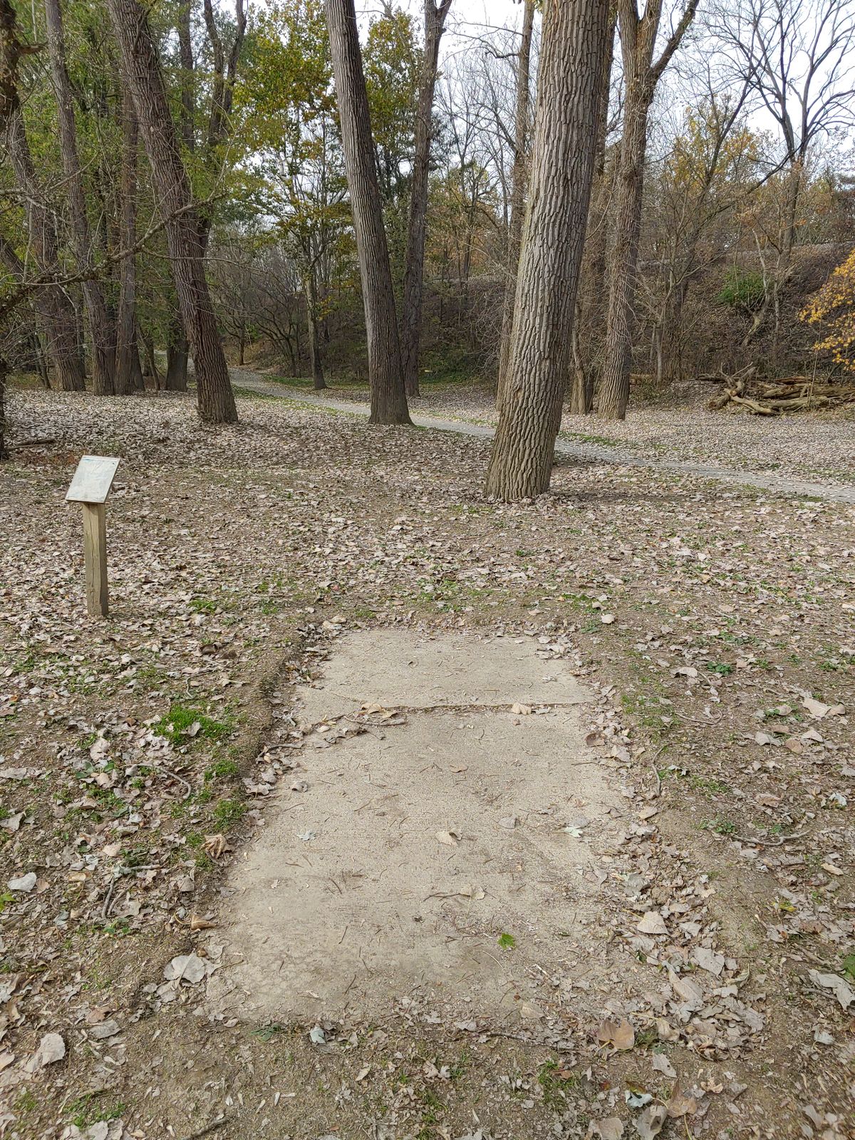 #8 throws over the walking path
