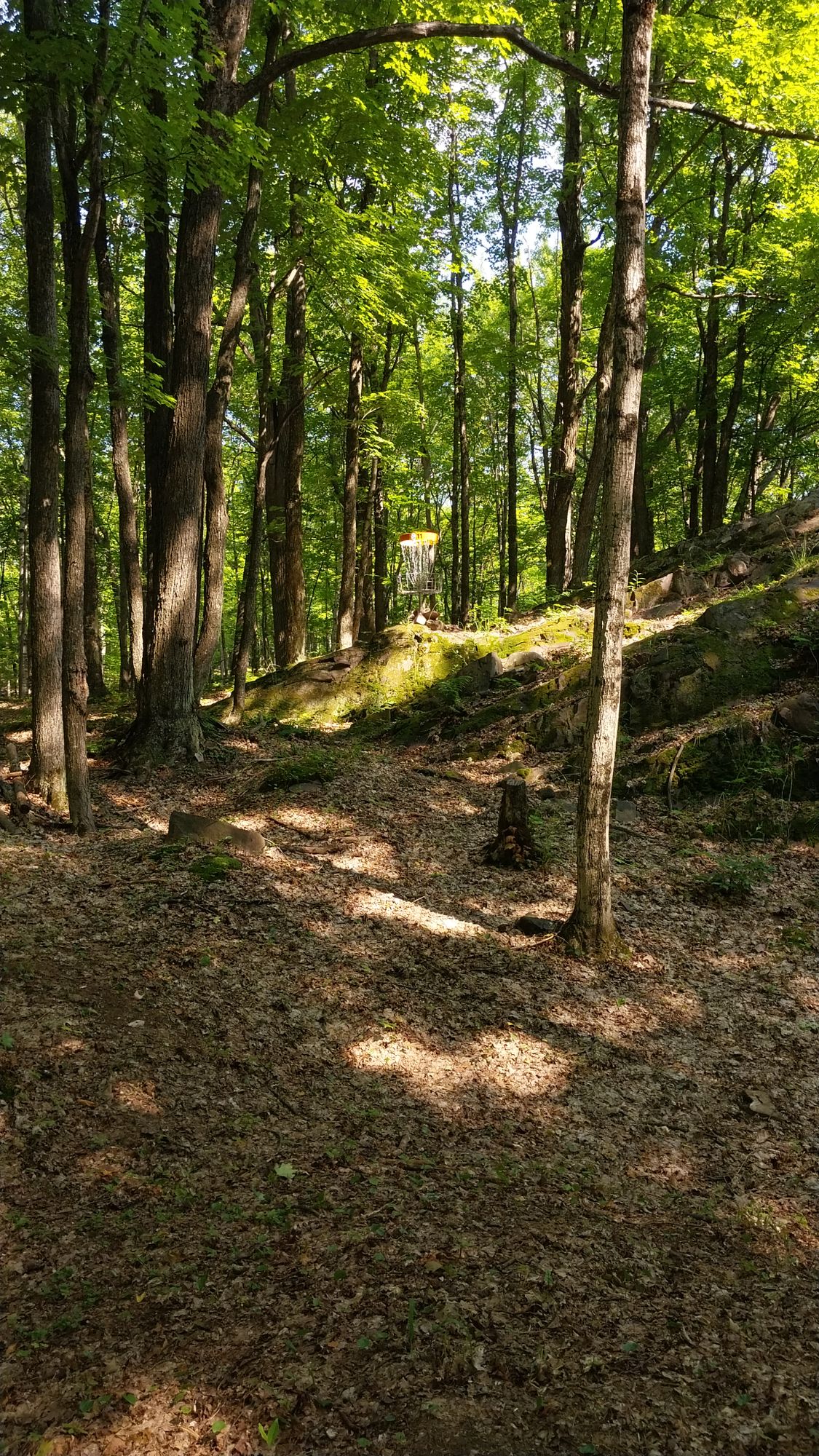 Hole 11 long