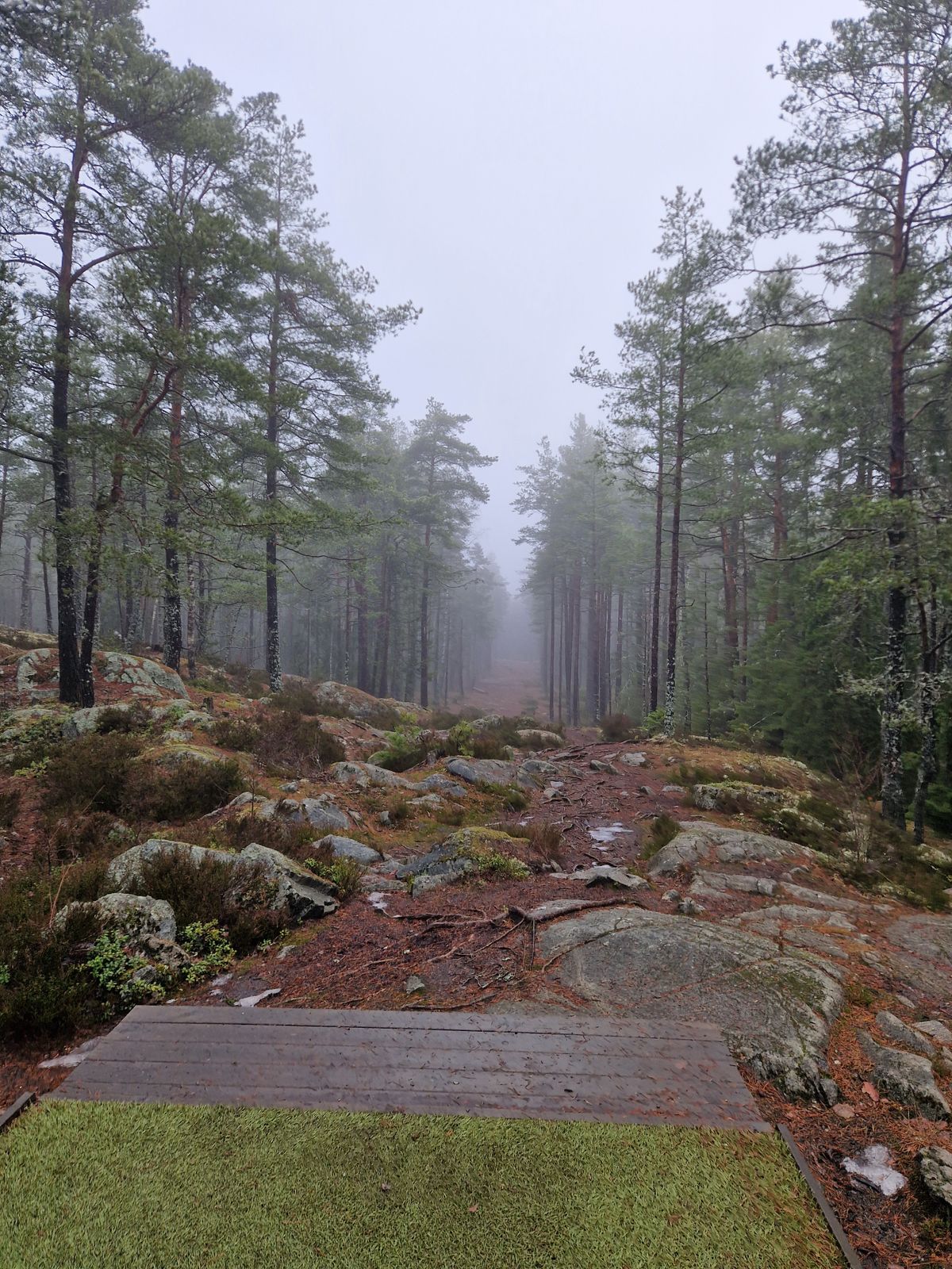 Hål 5
